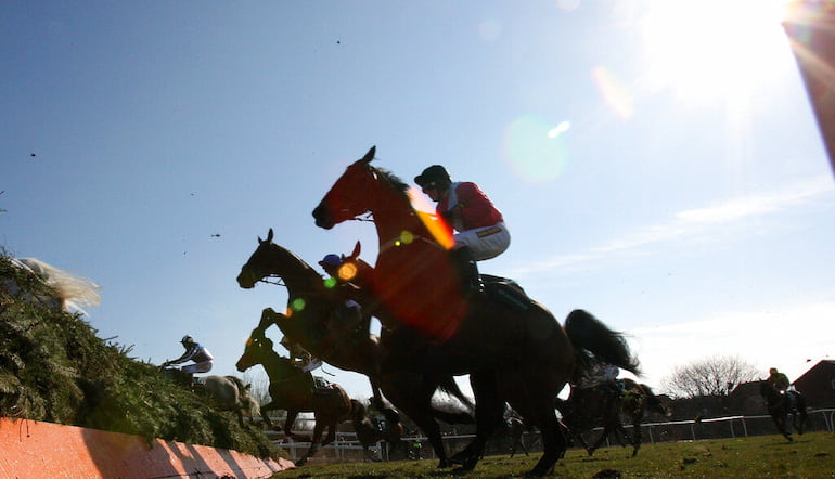 Becher Chase statistics