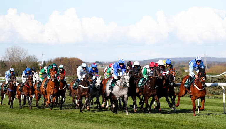 Betfair Chase 2021 stats