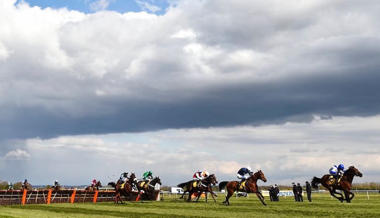 Fixtures and meetings horse 