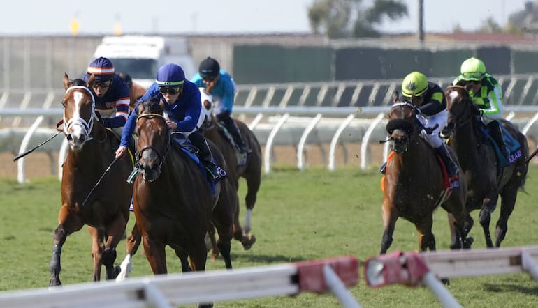 Clarence House trends