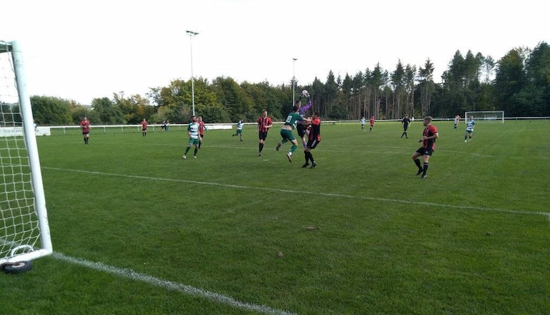 Tony Incenzo Shelley September 2023