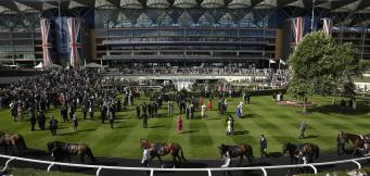 Ascot Racecourse