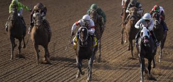 Betting Tips And Horse Racing Strategy