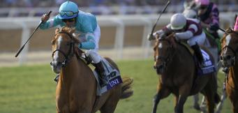 2020 Lanzarote Hurdle tips