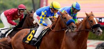 Antepost Cheltenham Festival 2021