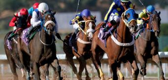 Cheltenham Gold Cup Day Four