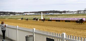 Horse Racing Tips March 21st Thurles