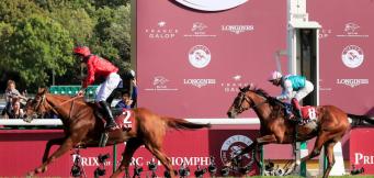 Horse racing in France - Beginner's Guide