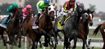 Horse racing in the United States