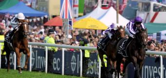 Epsom Derby Tips