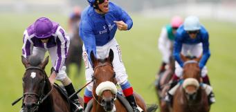 Best Horse Racing Betting