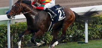 Newmarket Tips Today Cambridgeshire 2020