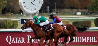 Horse Racing Blogs To Follow