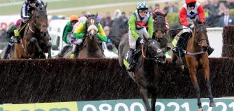Ladbrokes Trophy Denman