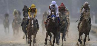 Horse Racing Betting Tips