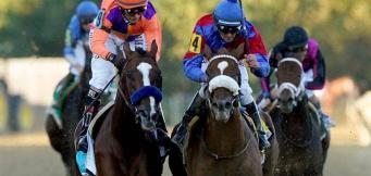 Best Horses To Follow Cheltenham 2021