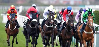 Trends and statistics on Haydock Betfair Chase