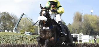 Ladbrokes Trophy statistics