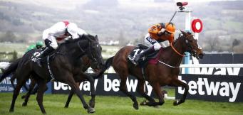 Dublin Chase Trends Leopardstown