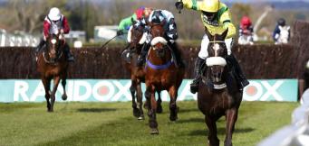 Silviniaco Conti Chase trends