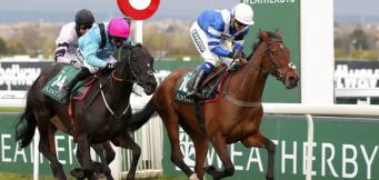 Dublin Racing Festival Novice Hurdle Trends