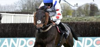 Horse racing cheekpieces