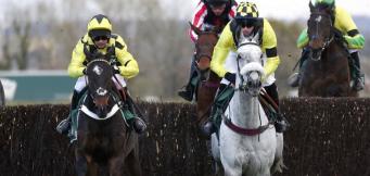 What is a horse tracker