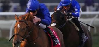 King's Stand Stakes Trends