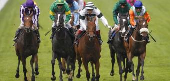 Queen Anne Stakes trends