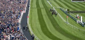 Gaillard du Mesnil National Hunt Chase contender