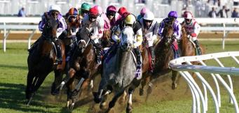 Horse Racing Tips Friday 17th June