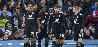 Fulham Premier League