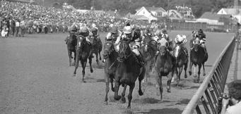 My Favourite Racehorse Remembering The Great Chaplins Club