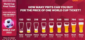 World Cup 2022 costs