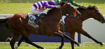 Horse Racing Tips Friday 15th July