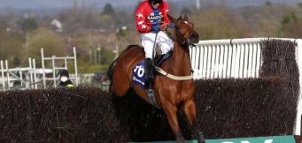 Gary Moore horses in training