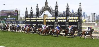 Melbourne Cup tips, trends and stats