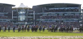 Venetia Williams horses in training