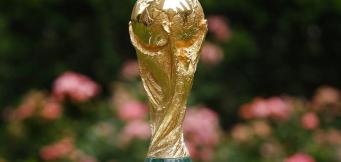 How to run a World Cup sweepstake 2022