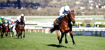 Cheltenham Festival ante post picks