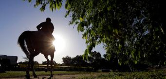 Cheltenham Gold Cup 2023