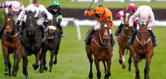 Horse Racing Sports Trends