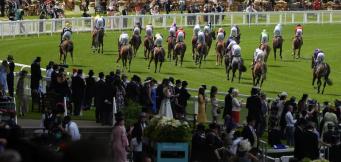 Commonwealth Cup trends