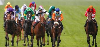 Statistics Coronation Stakes at Royal Ascot