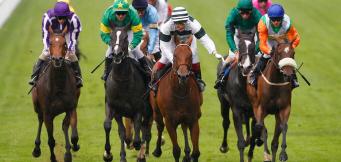 Doncaster St Leger tips 2023