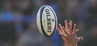 Rugby World Cup predictions