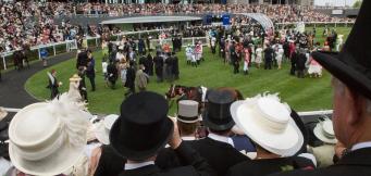 Is there dress code at horse racing