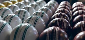Different cricket balls