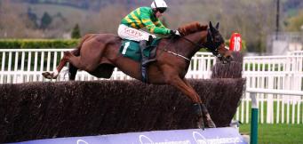 National Hunt Chase Trends 2025