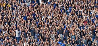 Famous fans and celebrity supporters